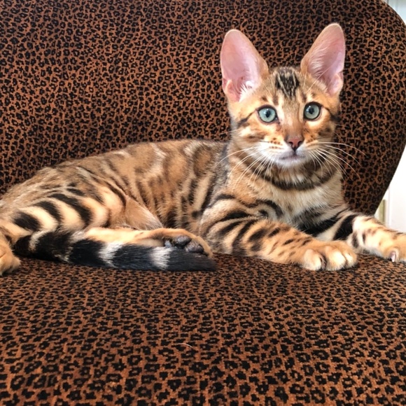 Meet Me #2!  Plz drop in to browseโฆ offerโฆ buyโฆ. askโฆ chatโฆ Nice to meet U! - Picture 5 of 15